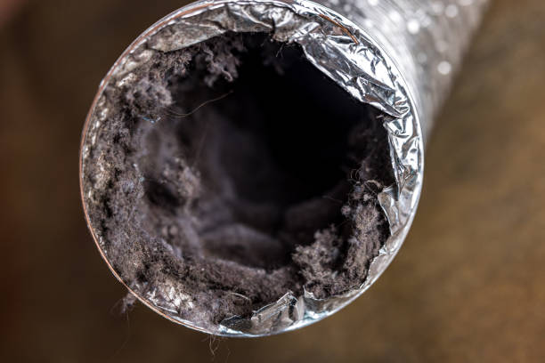 Best Local Air Duct Cleaning Services  in Geneva, IL
